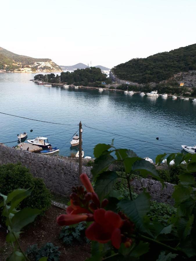 Vesna - Your Best Choice - 80 M From Beach Zaton (Dubrovnik-Neretva) Exterior foto