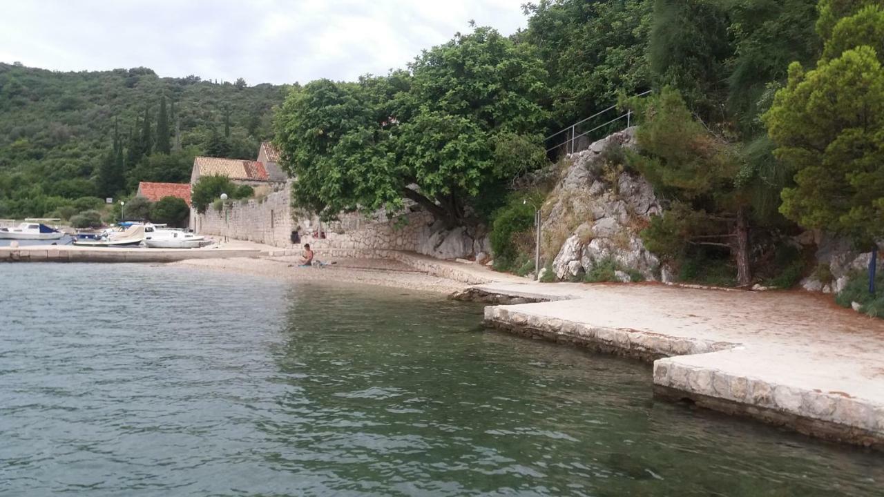 Vesna - Your Best Choice - 80 M From Beach Zaton (Dubrovnik-Neretva) Exterior foto