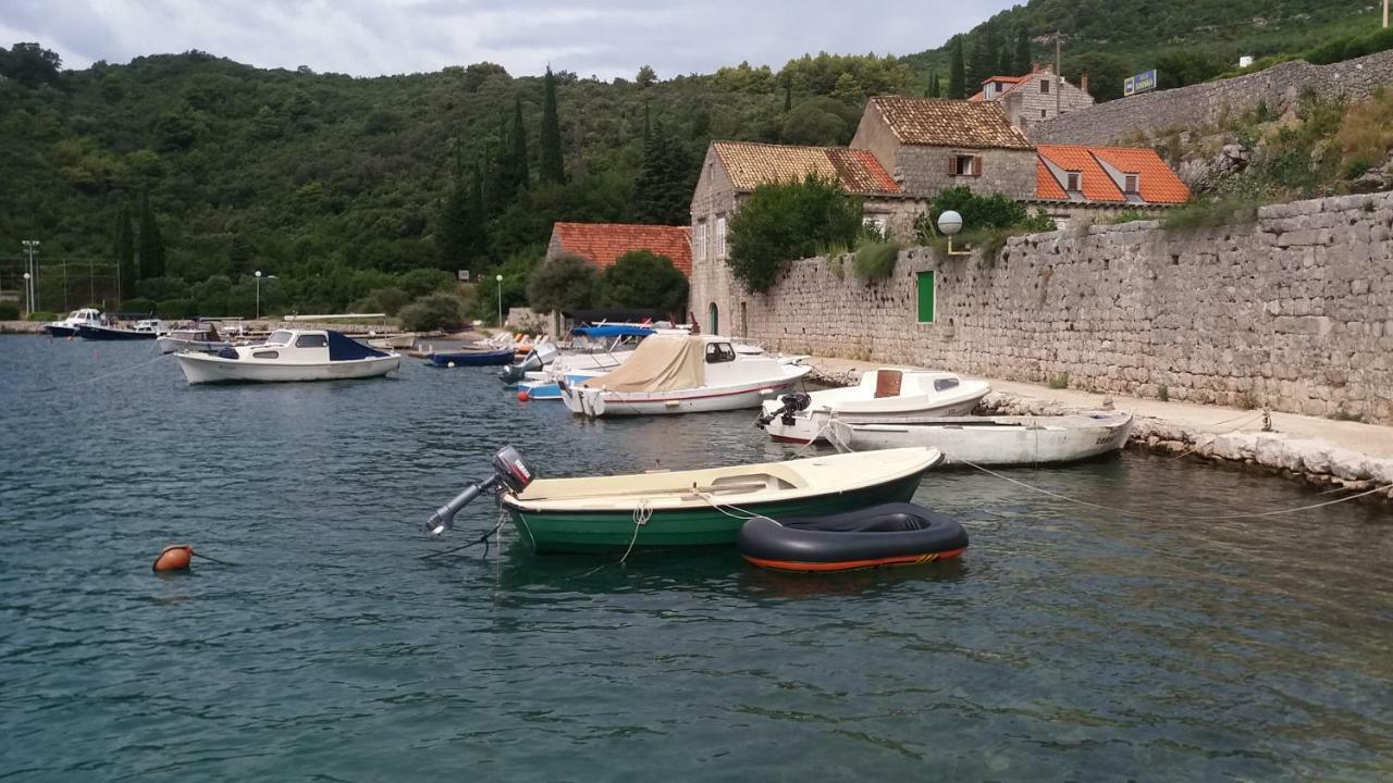 Vesna - Your Best Choice - 80 M From Beach Zaton (Dubrovnik-Neretva) Exterior foto