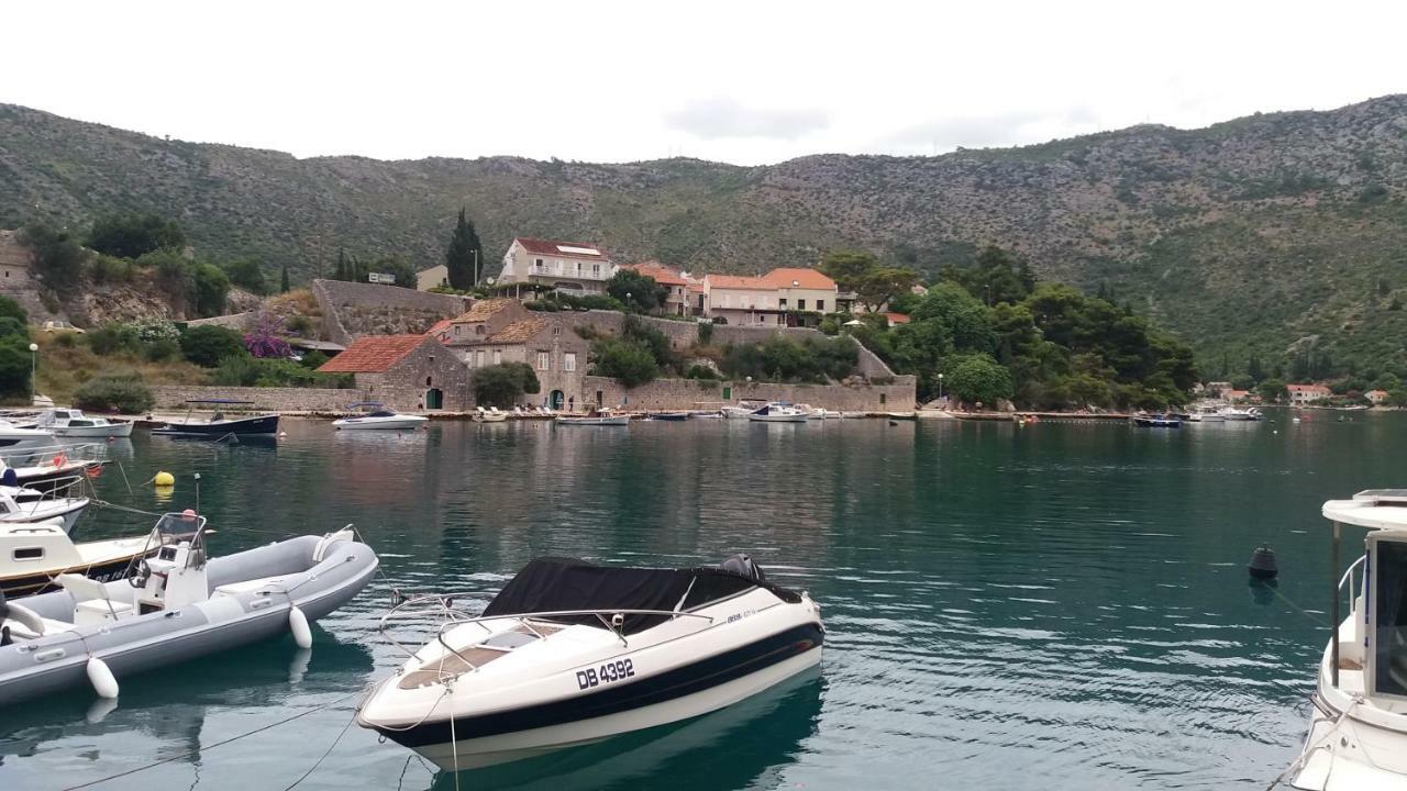 Vesna - Your Best Choice - 80 M From Beach Zaton (Dubrovnik-Neretva) Exterior foto