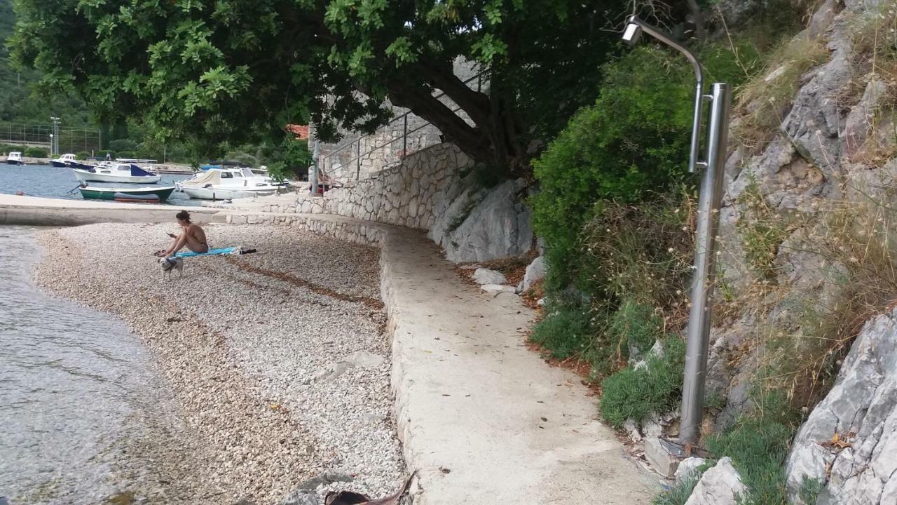 Vesna - Your Best Choice - 80 M From Beach Zaton (Dubrovnik-Neretva) Exterior foto